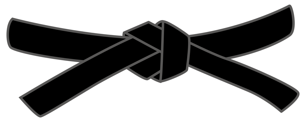 6th Degree Black Belt Logo